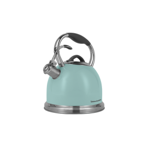 Traditional retro kettle with whistle Vintage Cuisine